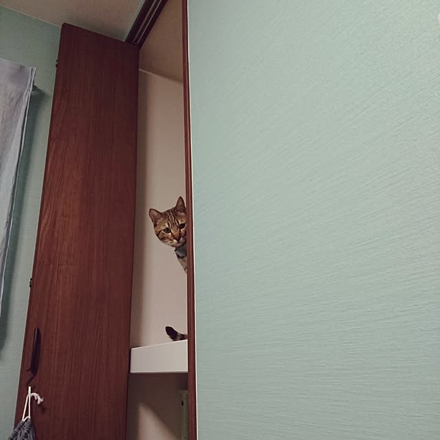 poniさんの実例写真