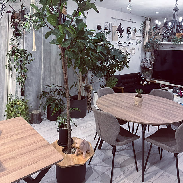 usakoさんの部屋