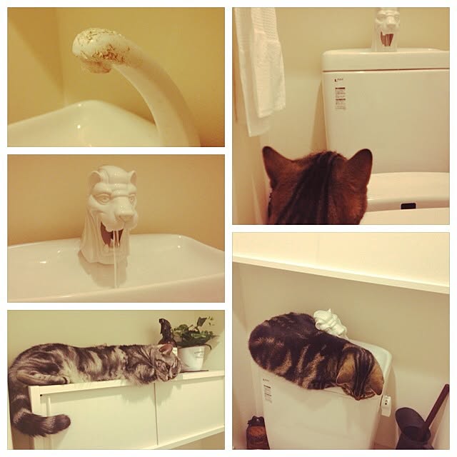 mikomaruさんの実例写真