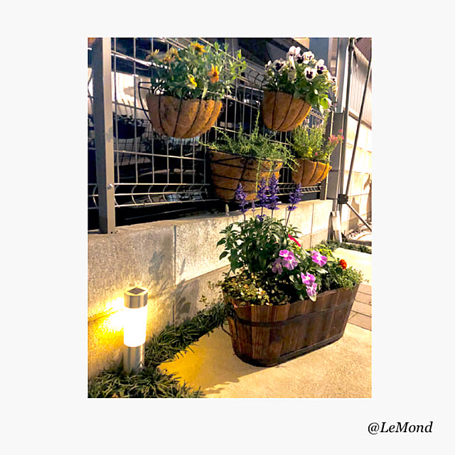 LeMondさんの実例写真