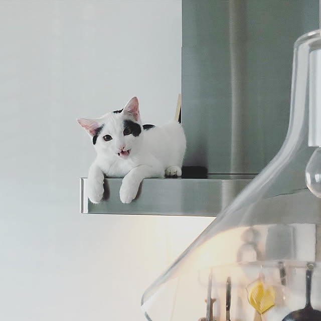 td.hsさんの実例写真