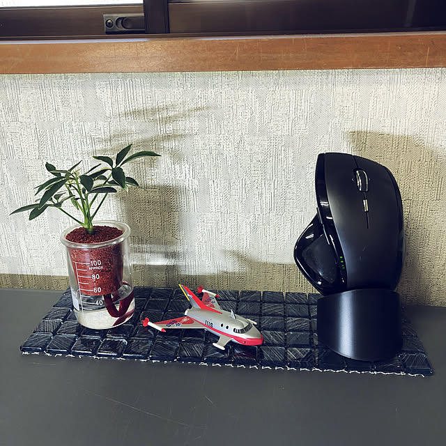 sakakenさんの実例写真