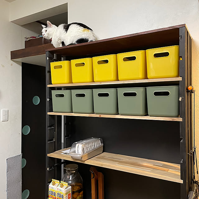 coolcats0528さんの部屋
