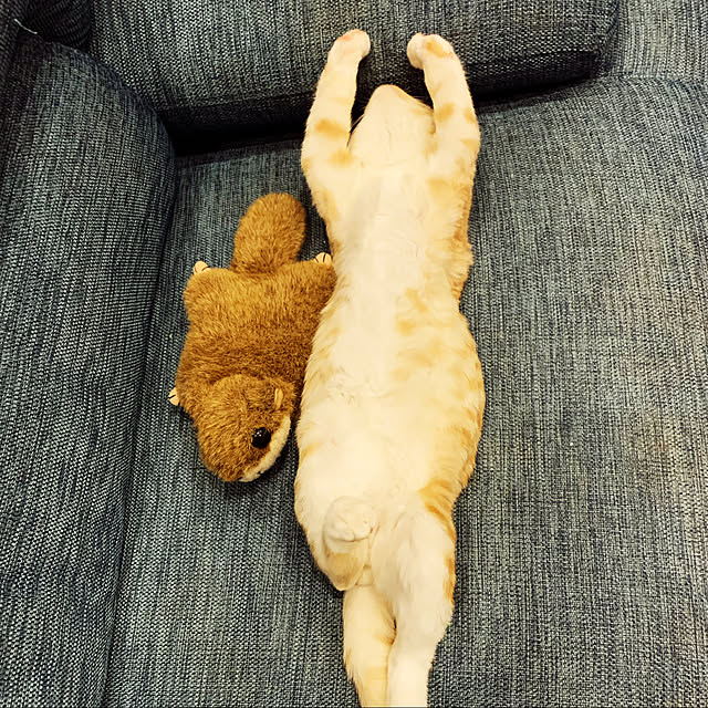 yhksさんの実例写真