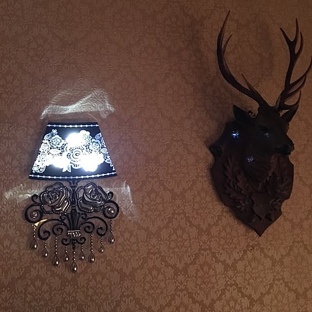 akekuroankoさんの実例写真
