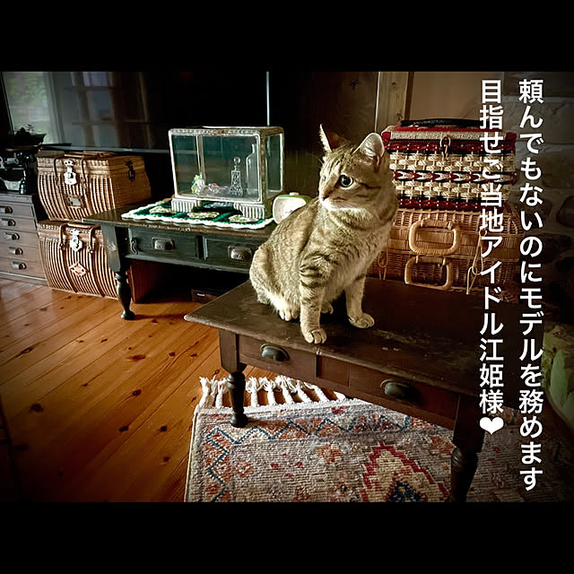 marusanさんの実例写真