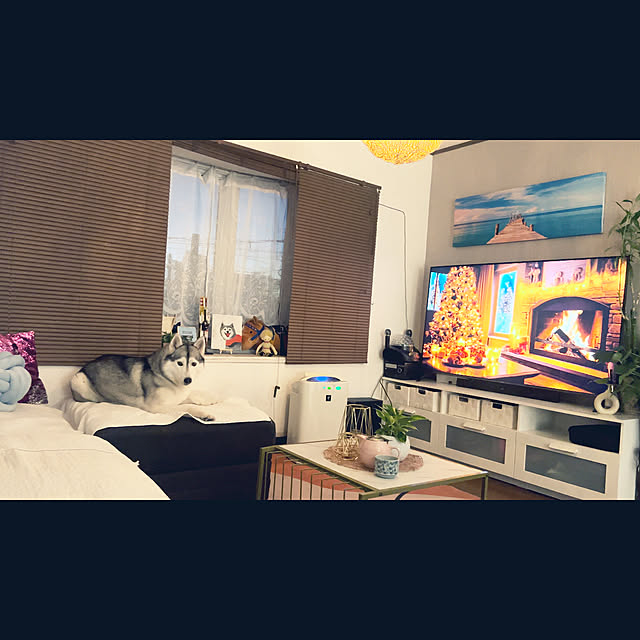 koutarinoさんの部屋