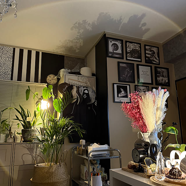 HSP-HSSさんの部屋