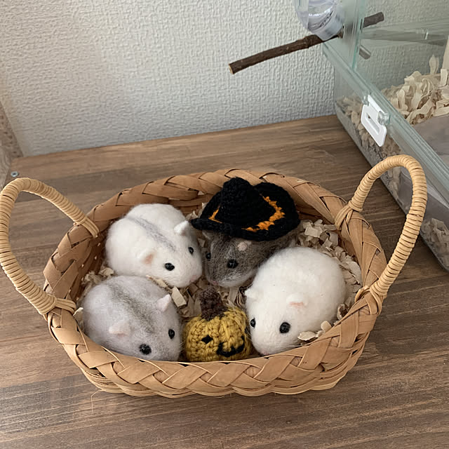 Yukiさんの実例写真