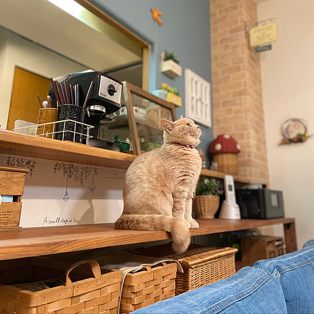 tomoさんの実例写真