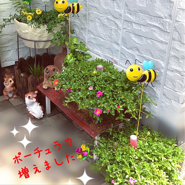 miyuさんの実例写真