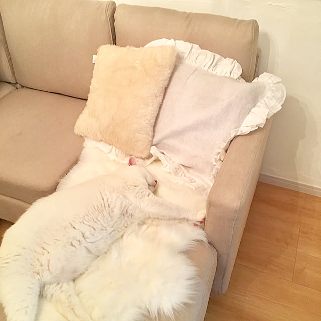 kaoさんの実例写真