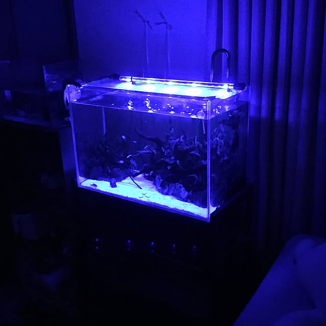 AquAriStさんの実例写真