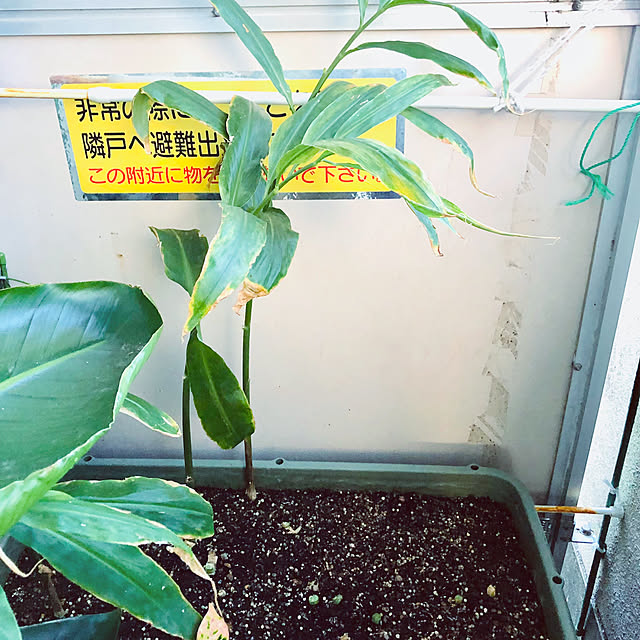 hanachanさんの部屋