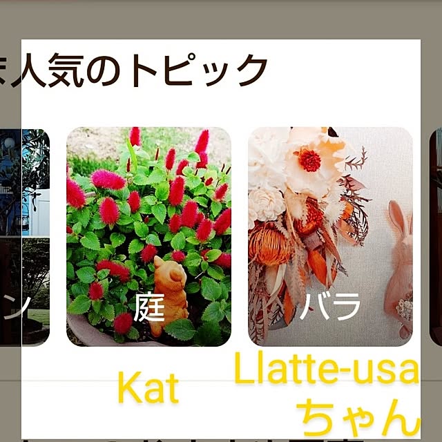 katさんの部屋