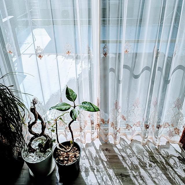 r0siereさんの実例写真