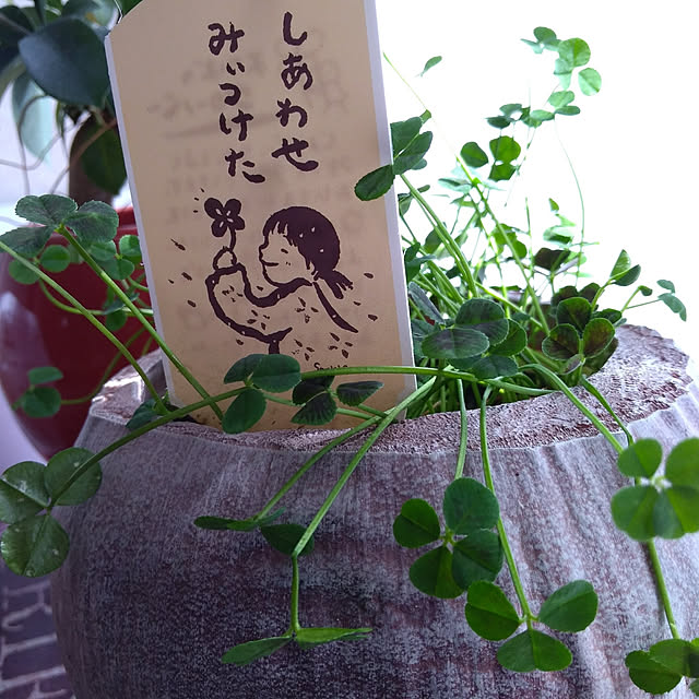 Samさんの実例写真