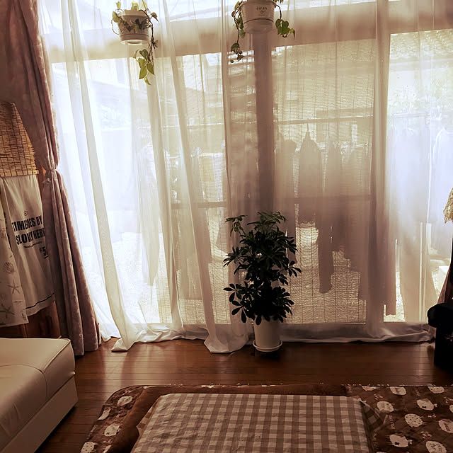 minaaisukiさんの実例写真