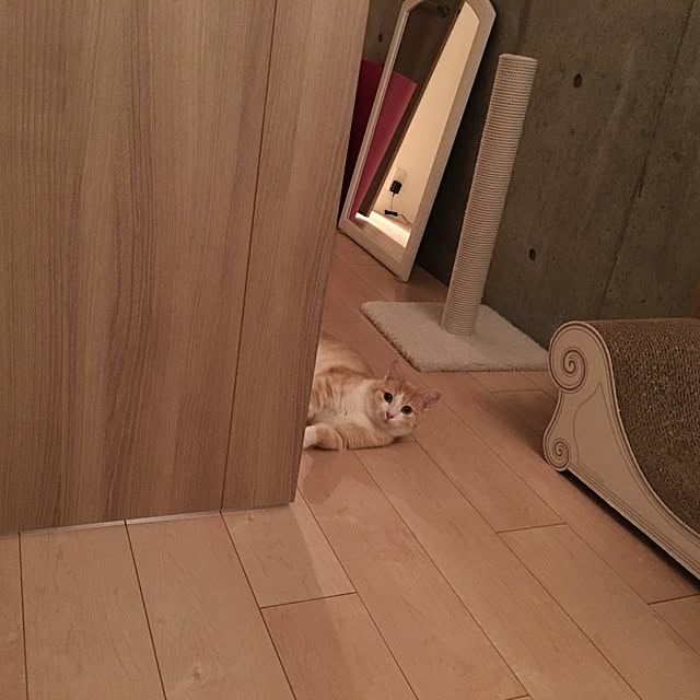 korinkorinさんの実例写真