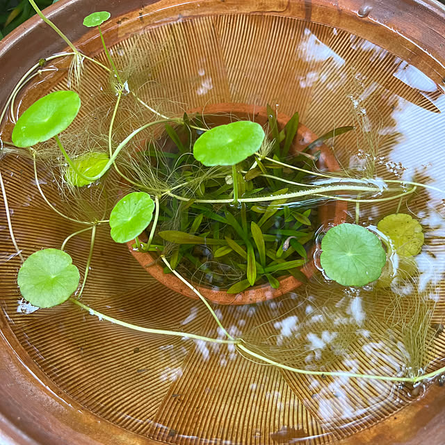 kuuさんの部屋