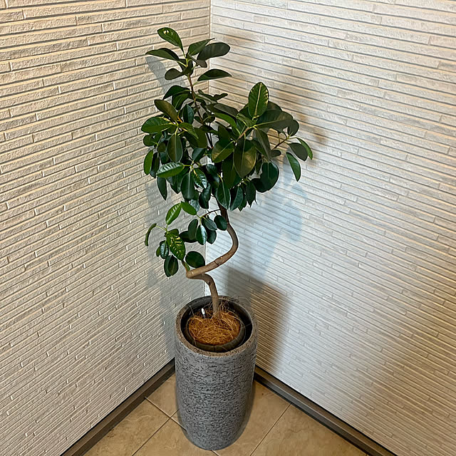 mocoさんの部屋