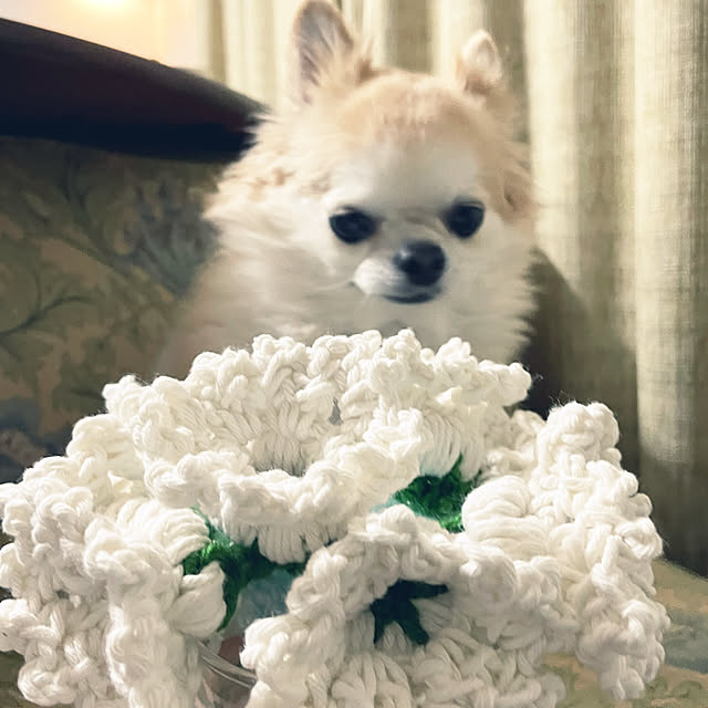 natsumiさんの部屋