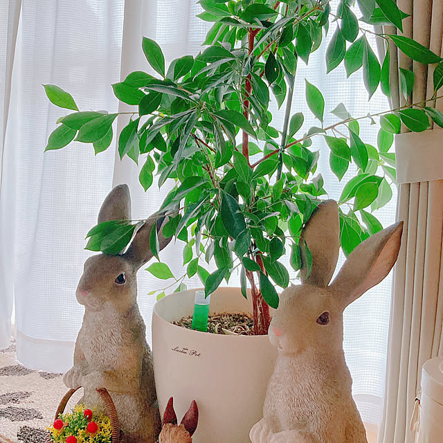 Hanakaさんの部屋