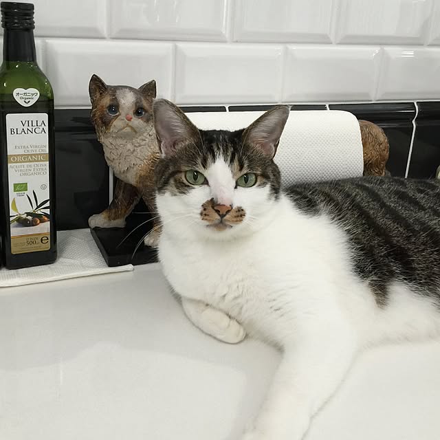 yuchiさんの実例写真