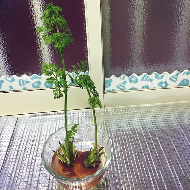 Masatoshiさんの実例写真