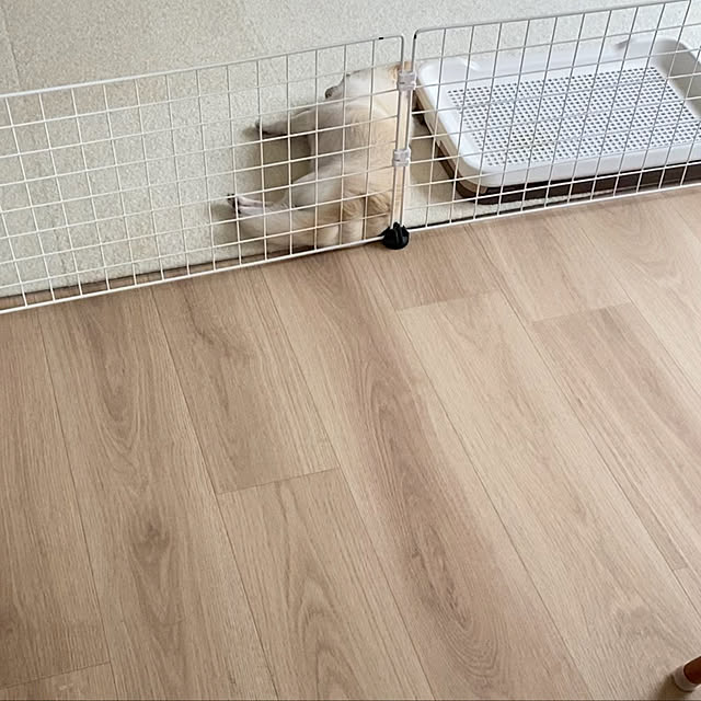 momakoさんの実例写真