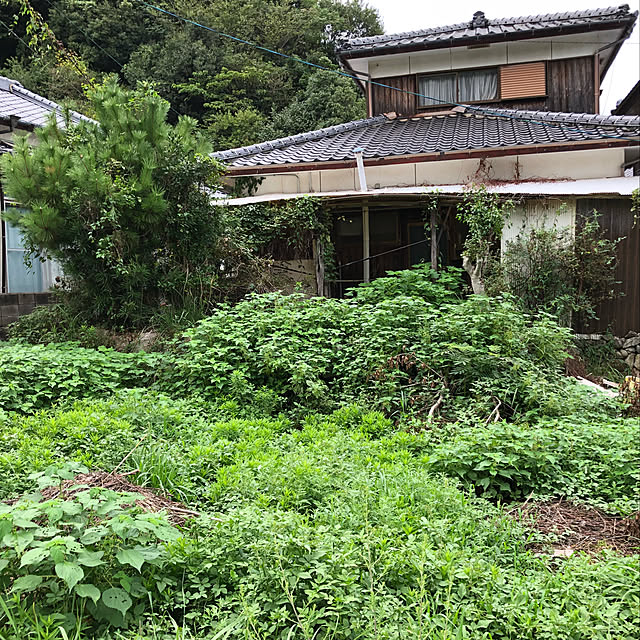 Mikiさんの実例写真