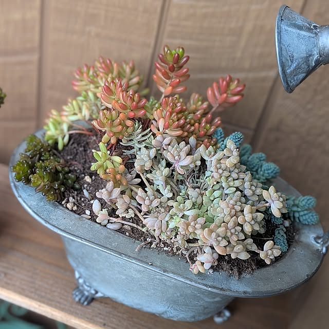 gamakeroさんの部屋