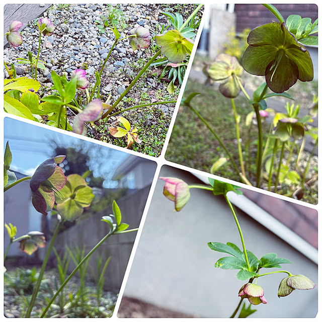 usagiさんの部屋