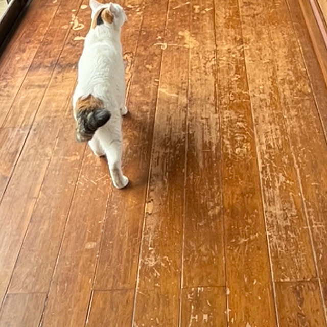 Maririnさんの部屋