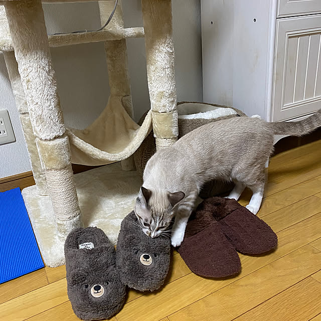 konanaka08さんの部屋