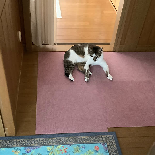 haruminさんの実例写真