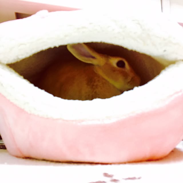 khj1974さんの実例写真