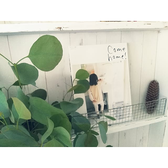 rico-mamaさんの実例写真