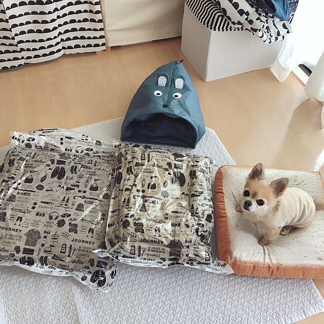Emiさんの実例写真