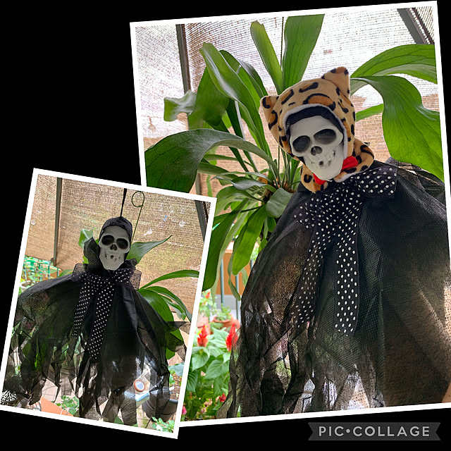 Aqettyさんの実例写真