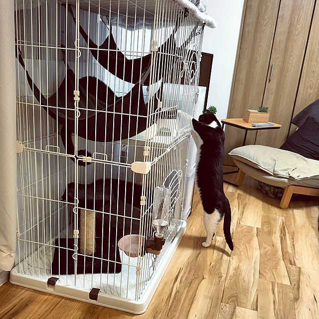 hihaさんの実例写真