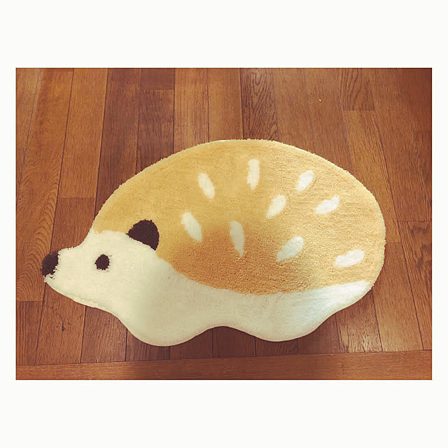 akieさんの実例写真