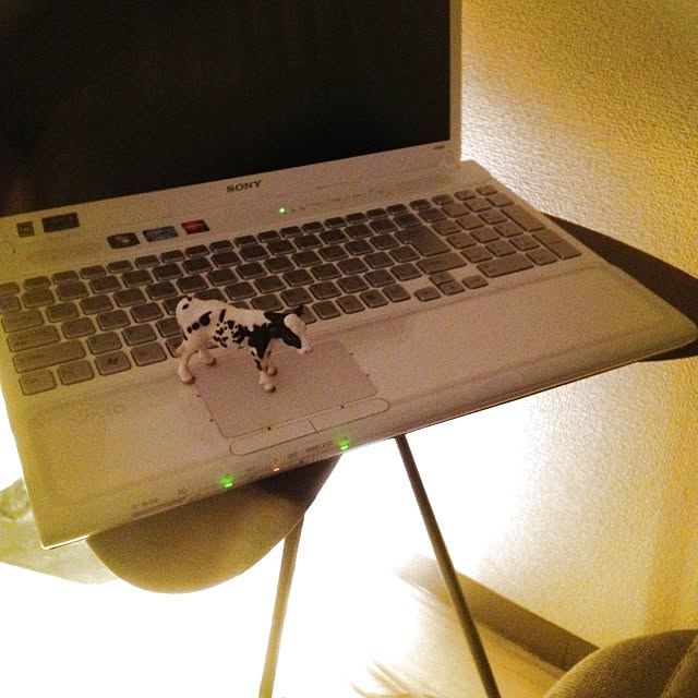 yukiiさんの実例写真