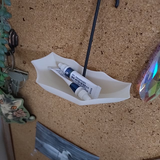 NOAHさんの部屋