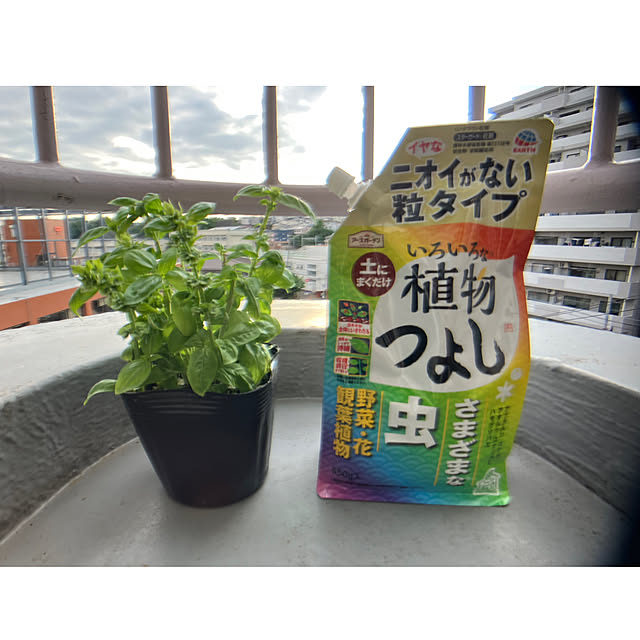 pippiさんの実例写真