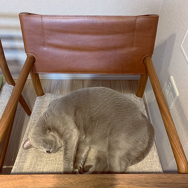 sayuuuさんの実例写真