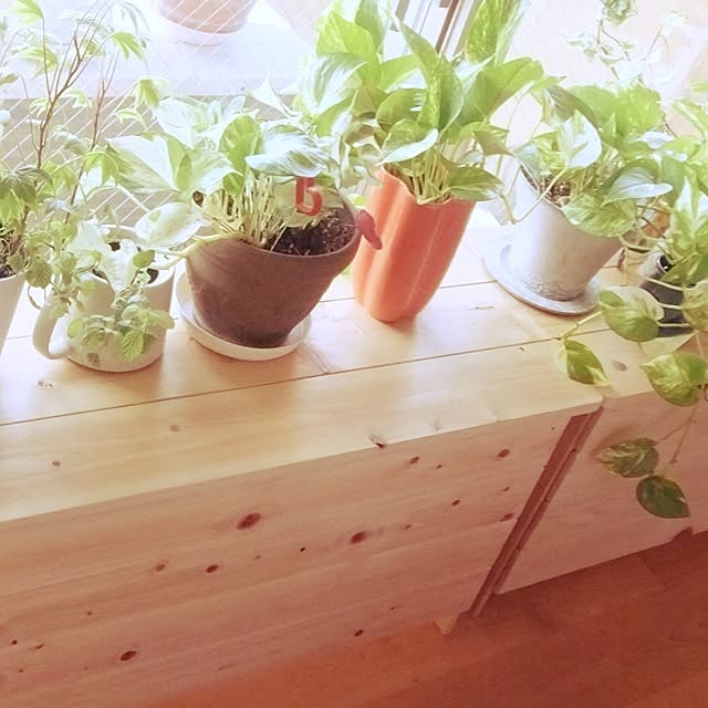 maimaiさんの実例写真