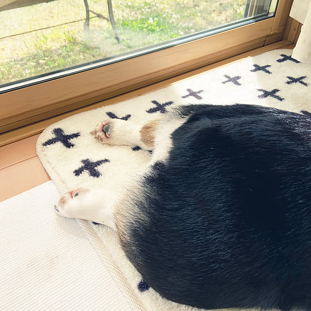 stellaさんの実例写真