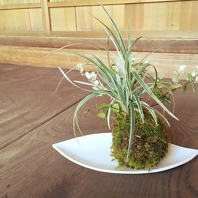 ediblegardenさんの実例写真