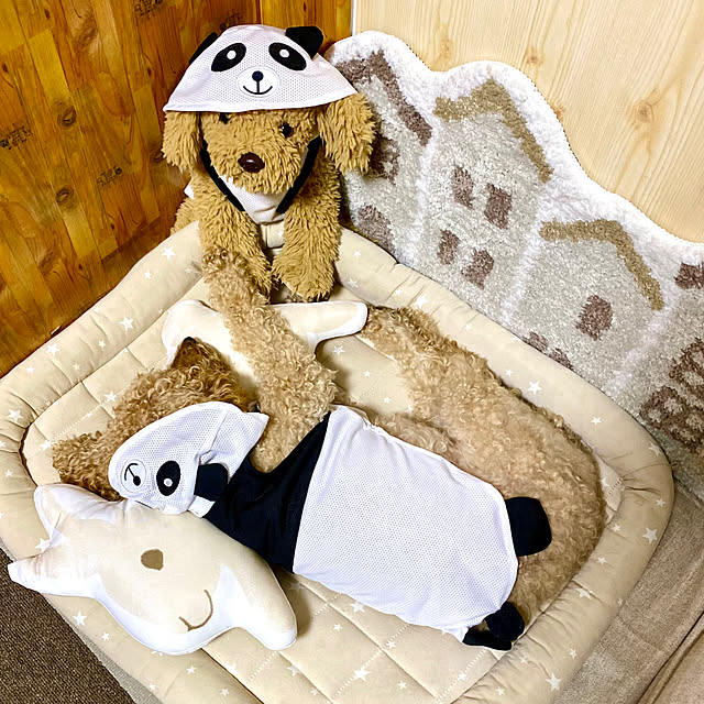 mさんの部屋